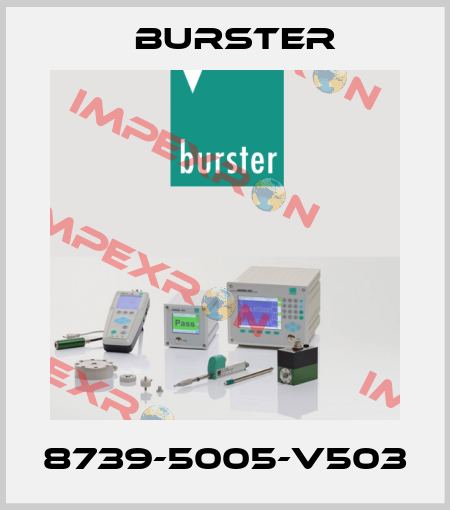 8739-5005-V503 Burster