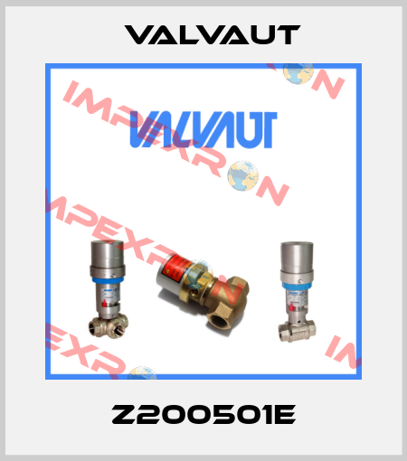Z200501E Valvaut