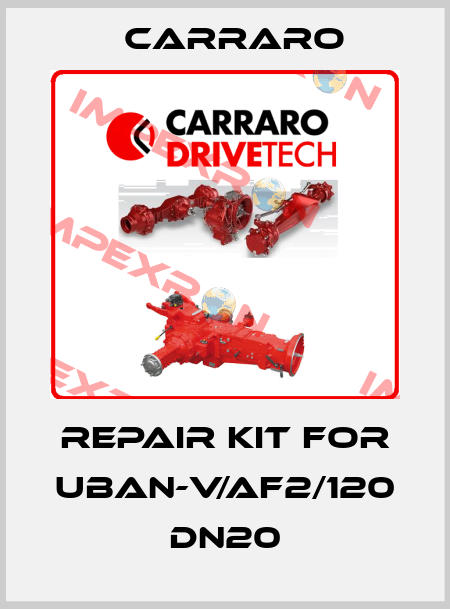 repair kit for UBAN-V/AF2/120 DN20 Carraro