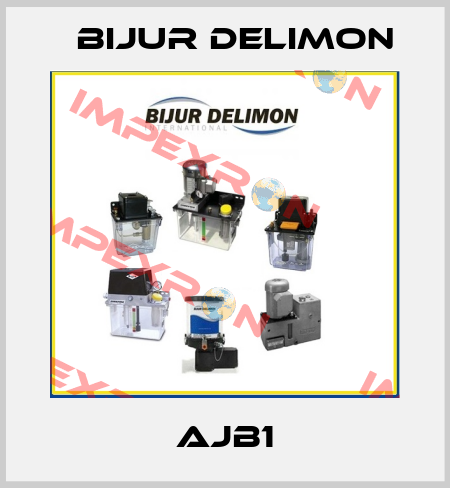 AJB1 Bijur Delimon