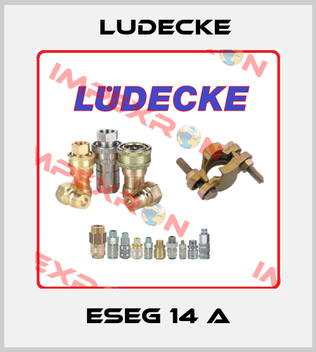 ESEG 14 A Ludecke