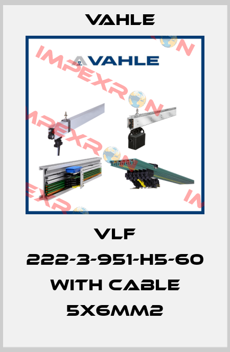 VLF 222-3-951-H5-60 with cable 5x6mm2 Vahle