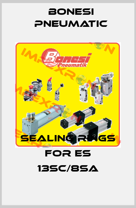 sealing rings for ES 13SC/8SA Bonesi Pneumatic