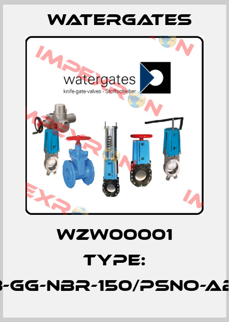 WZW00001 Type: WGAB-GG-NBR-150/PSNO-A2-ANSI Watergates