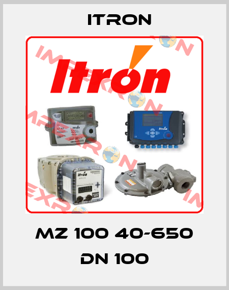 MZ 100 40-650 DN 100 Itron