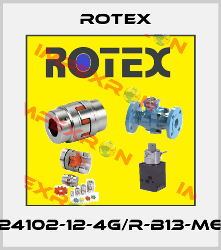 99-24102-12-4G/R-B13-M6-S0 Rotex