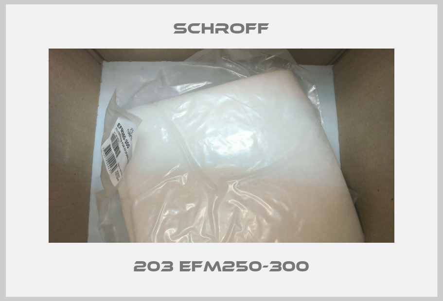 203 EFM250-300 Schroff
