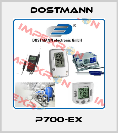 P700-EX Dostmann