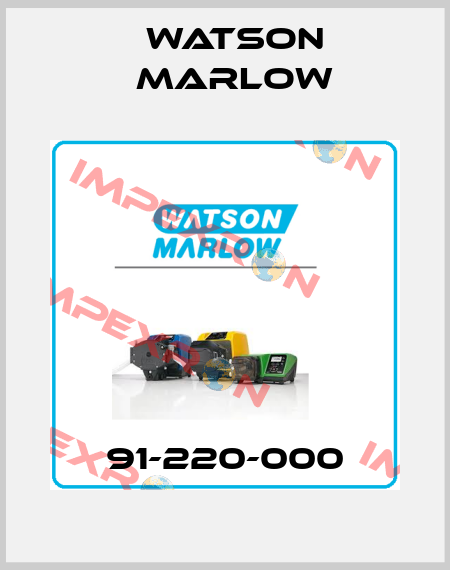 91-220-000 Watson Marlow