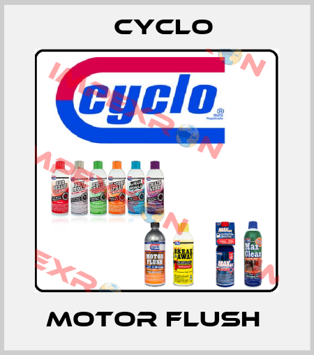 Motor flush  Cyclo