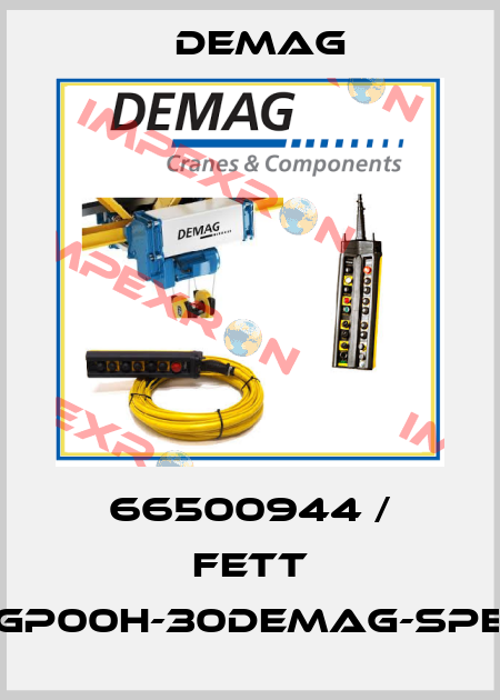 66500944 / FETT GP00H-30DEMAG-SPE Demag