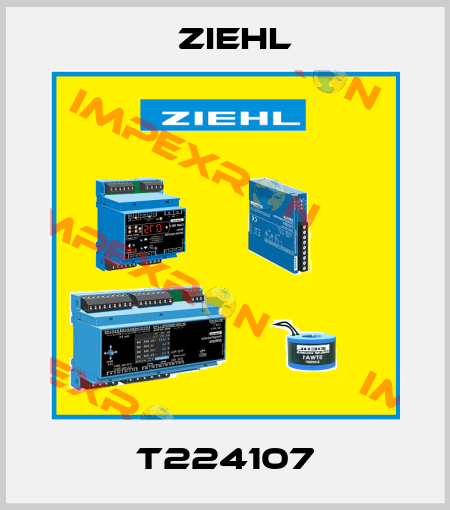 T224107 Ziehl