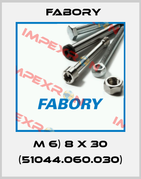 M 6) 8 X 30 (51044.060.030) Fabory