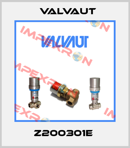 Z200301E  Valvaut