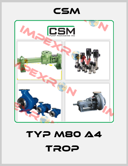 Typ M80 A4 Trop  Csm