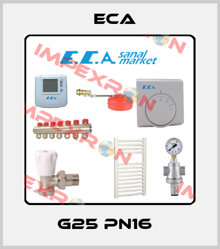 G25 PN16   Eca