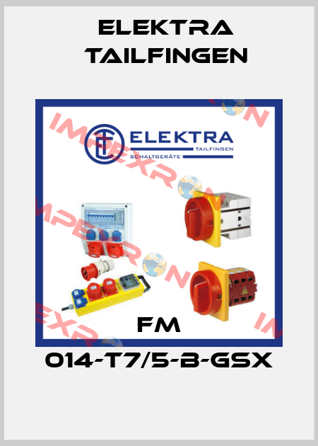 FM 014-T7/5-B-GSX Elektra Tailfingen