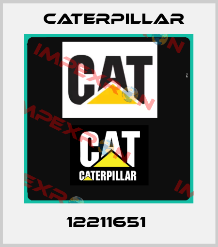12211651  Caterpillar