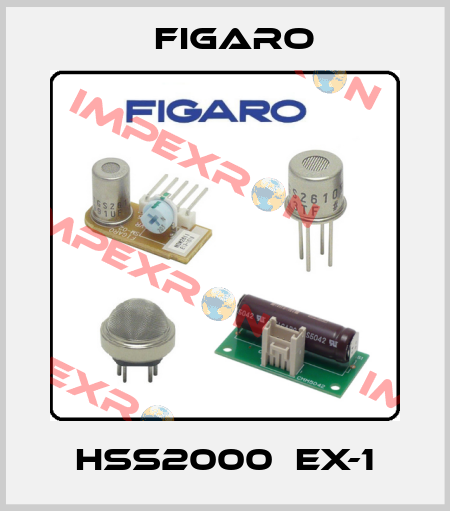 HSS2000  EX-1 Figaro