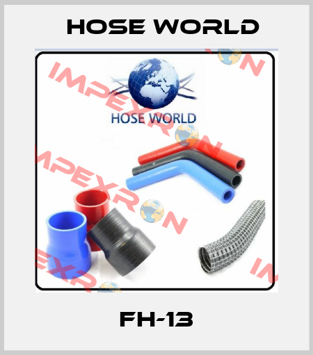 FH-13 HOSE WORLD
