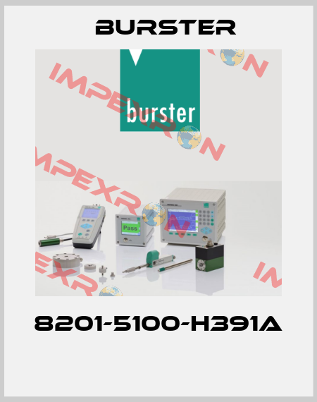 8201-5100-H391A  Burster