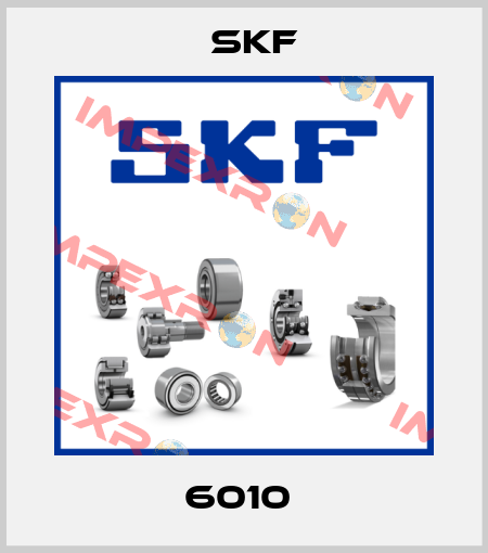 6010  Skf
