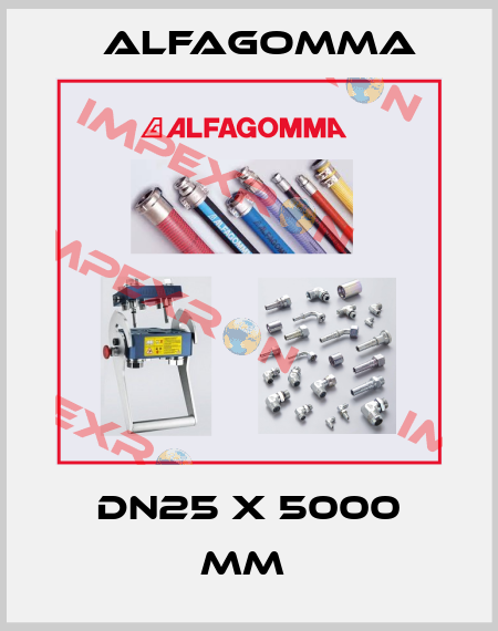 DN25 x 5000 mm  Alfagomma