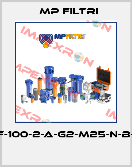 MPF-100-2-A-G2-M25-N-B-P01  MP Filtri