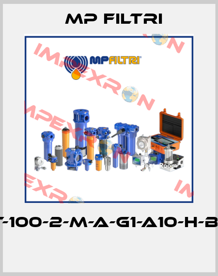 MPT-100-2-M-A-G1-A10-H-B-P01  MP Filtri