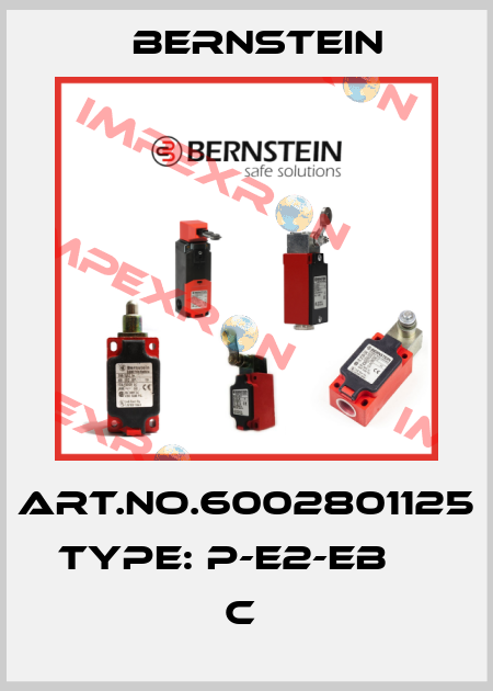 Art.No.6002801125 Type: P-E2-EB                      C  Bernstein