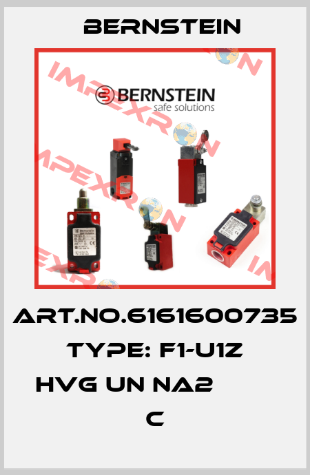 Art.No.6161600735 Type: F1-U1Z HVG UN NA2            C Bernstein