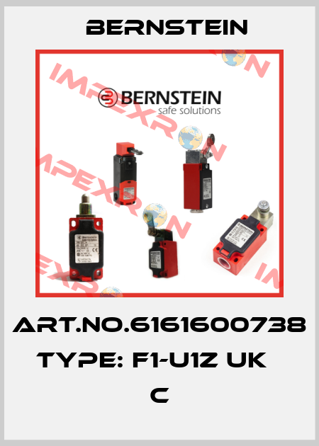 Art.No.6161600738 Type: F1-U1Z UK                    C Bernstein