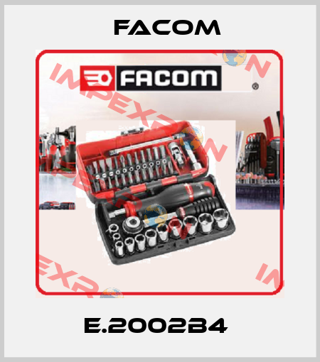 E.2002B4  Facom