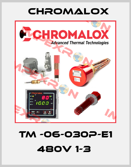 TM -06-030P-E1 480V 1-3  Chromalox