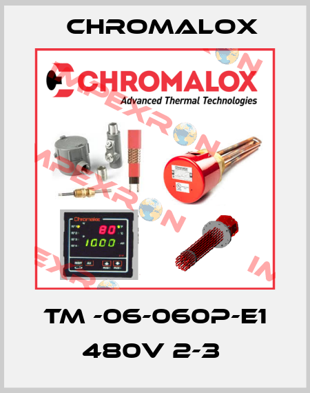 TM -06-060P-E1 480V 2-3  Chromalox