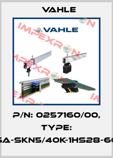 P/n: 0257160/00, Type: SA-SKN5/40K-1HS28-60 Vahle