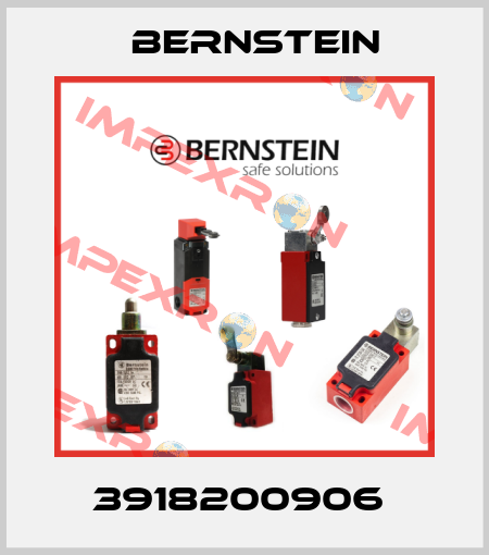3918200906  Bernstein