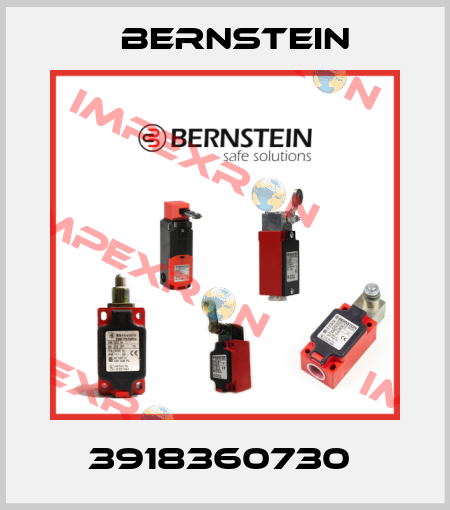 3918360730  Bernstein