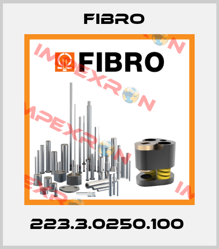 223.3.0250.100  Fibro