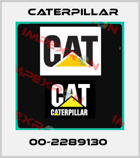 00-2289130  Caterpillar