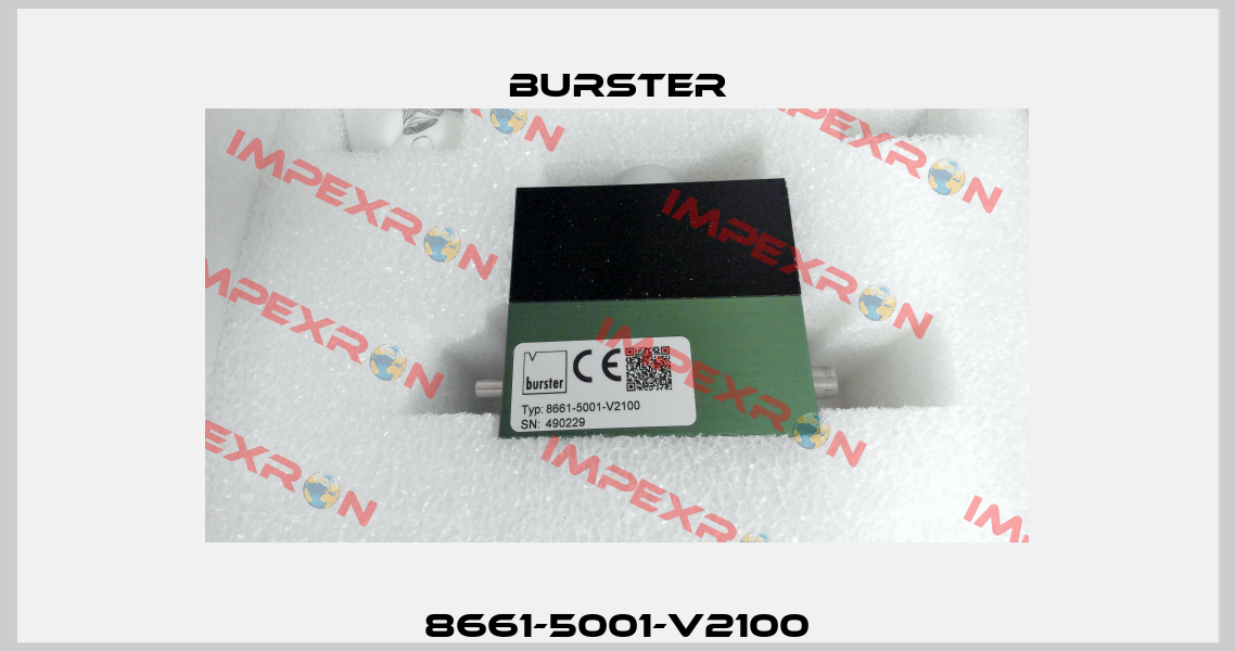 8661-5001-V2100 Burster