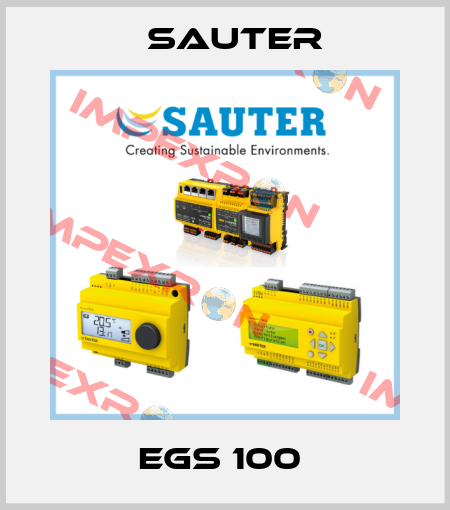EGS 100  Sauter