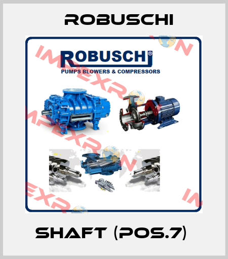 Shaft (Pos.7)  Robuschi
