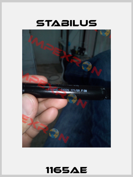 1165AE Stabilus