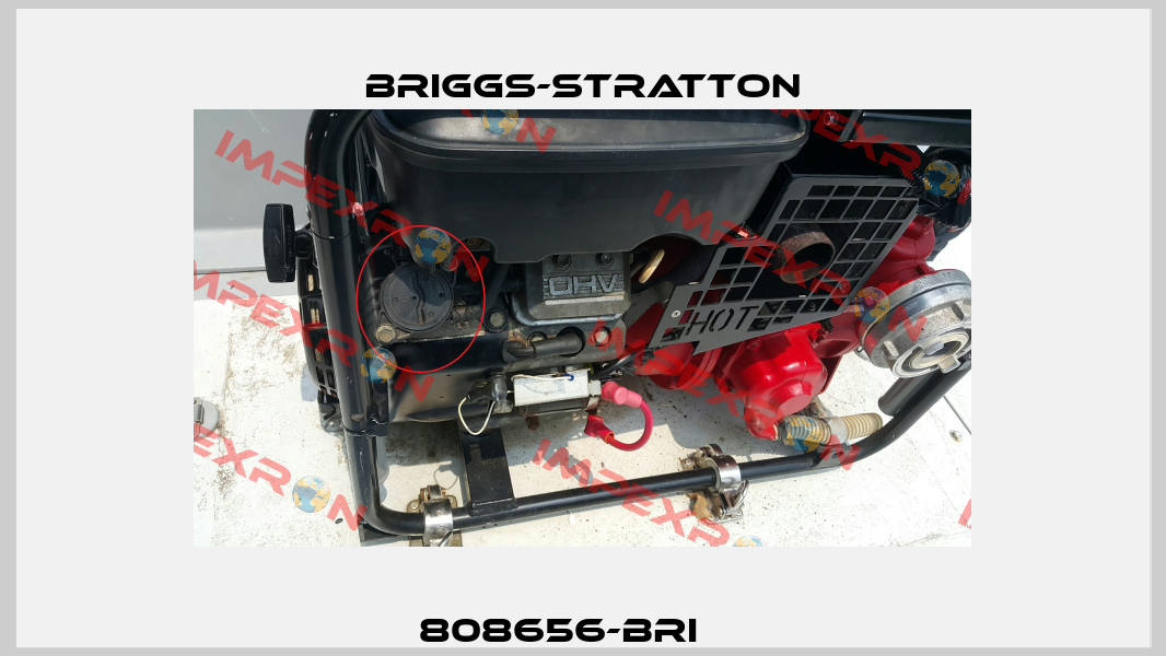 808656-BRI     Briggs-Stratton