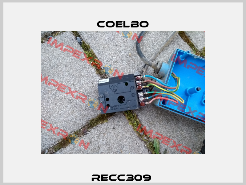 RECC309  COELBO