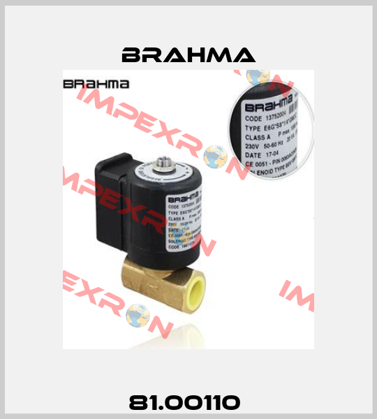 81.00110  Brahma