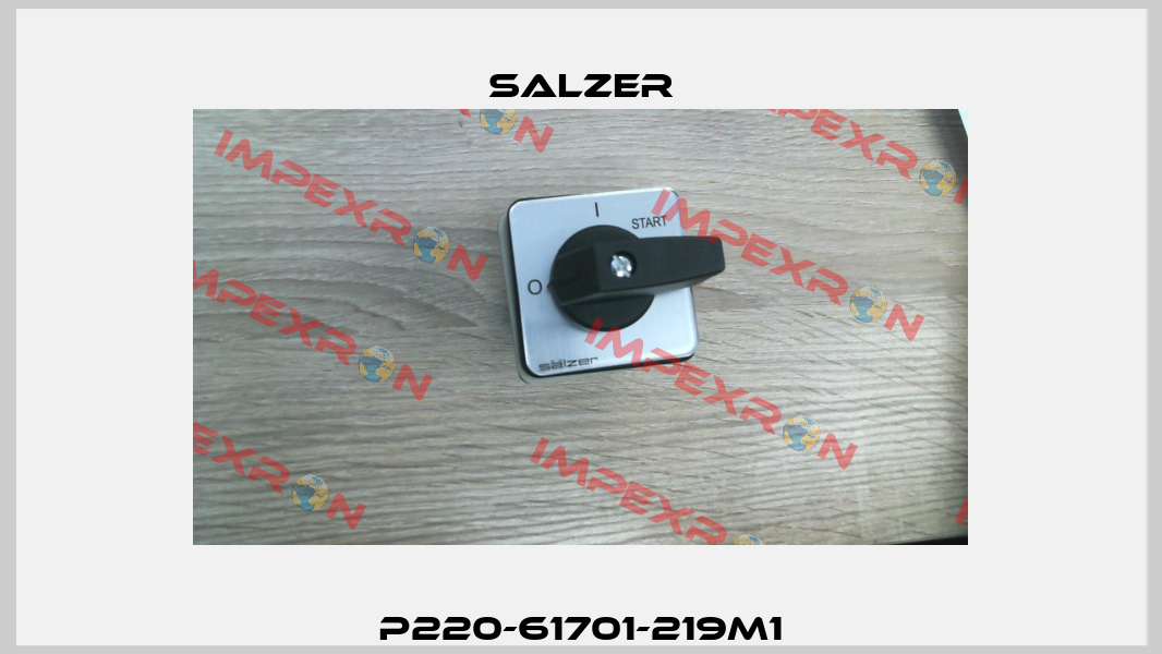 P220-61701-219M1 Salzer