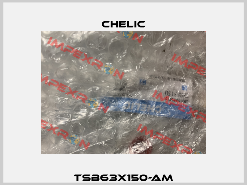 TSB63x150-AM Chelic