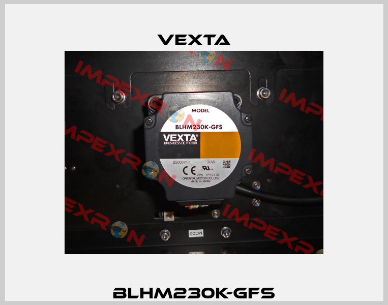 BLHM230K-GFS Vexta